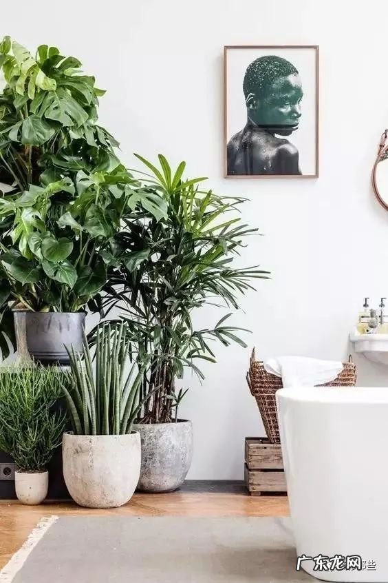 卫生间正对大门 家里大门正对卫生间风水化解