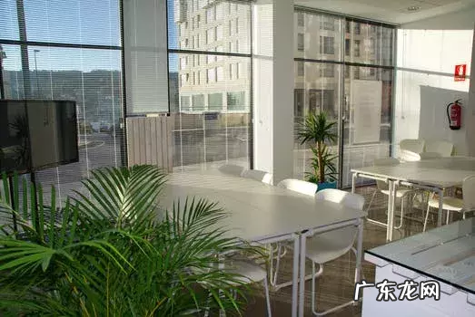 办公室风水讲究真不少 办公室门口对着电梯口风水