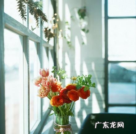 qq留言句子 QQ个性留言