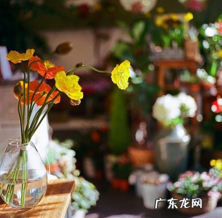 qq留言句子 QQ个性留言