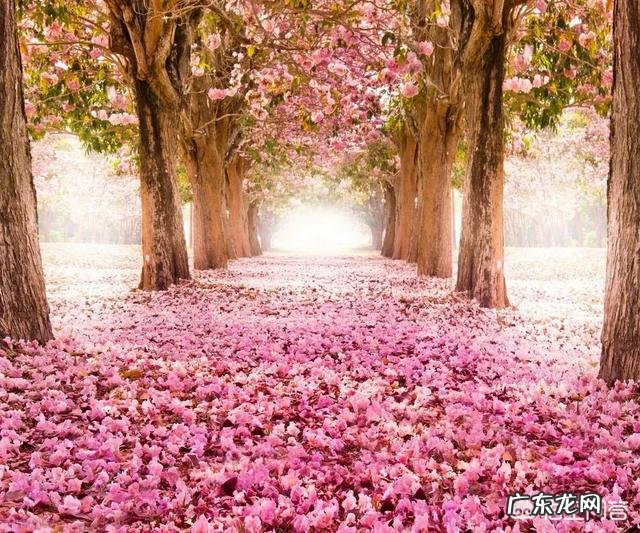 每个热恋中的都是诗人,热恋前后你写过什么值得分享的诗句吗?