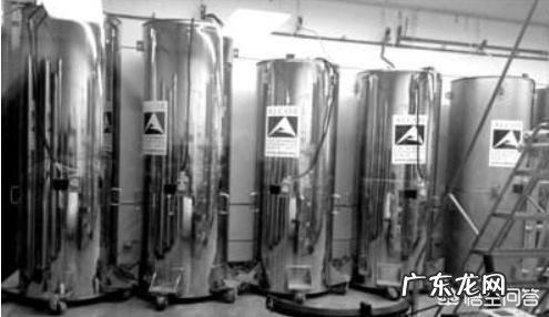 人死不能复生,但是现在出现冰冻技术,保留着尸体以后还有机会复活吗?