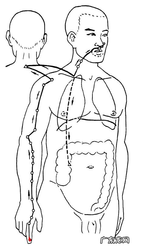 立秋养生吃什么?