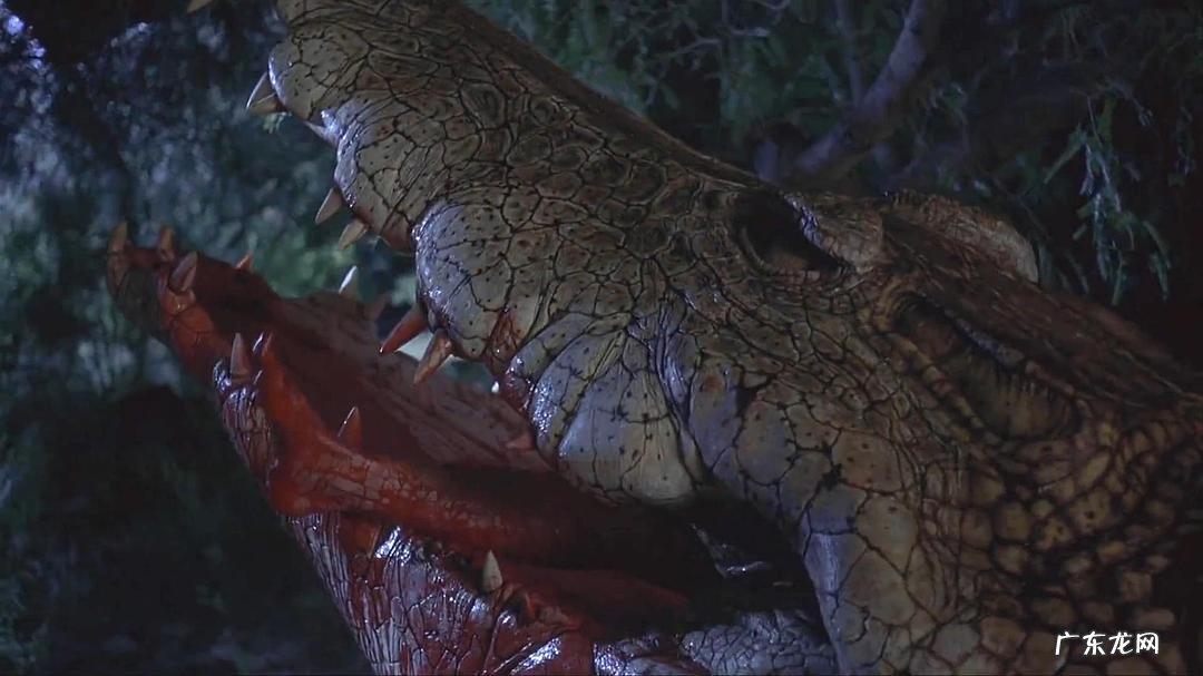 鳄鱼电影大全最恐怖电影 鳄鱼电影全部