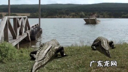 鳄鱼电影大全最恐怖电影 鳄鱼电影全部