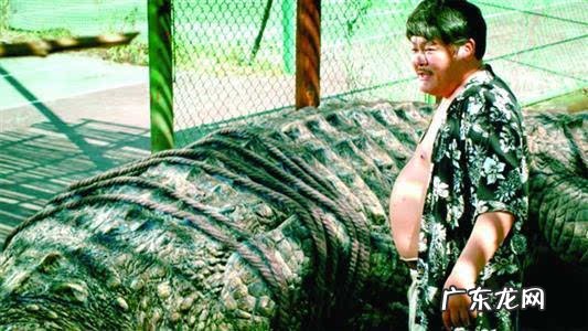 鳄鱼电影大全最恐怖电影 鳄鱼电影全部