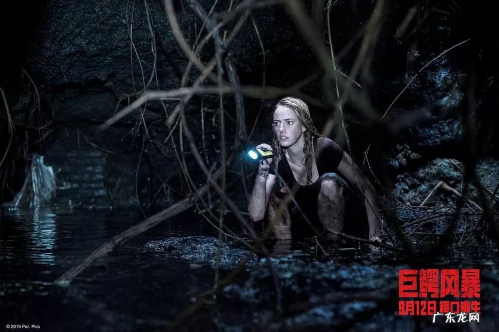 鳄鱼电影大全最恐怖电影 鳄鱼电影全部