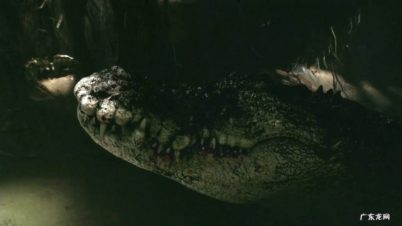 鳄鱼电影大全最恐怖电影 鳄鱼电影全部