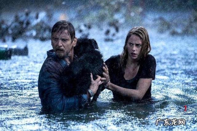 鳄鱼电影大全最恐怖电影 鳄鱼电影全部