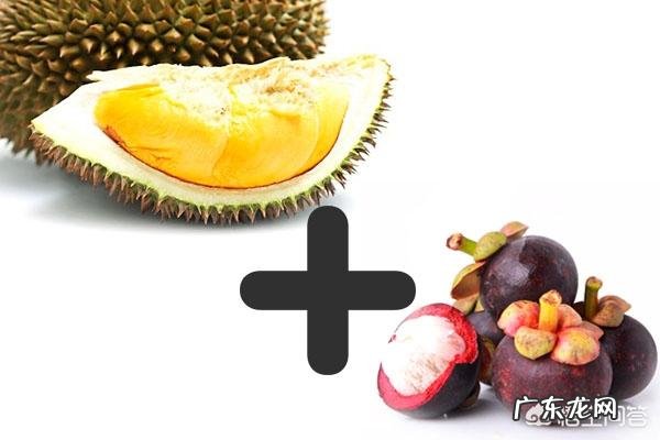 哪些水果是上火的？