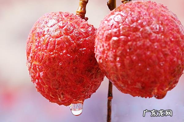 哪些水果是上火的？