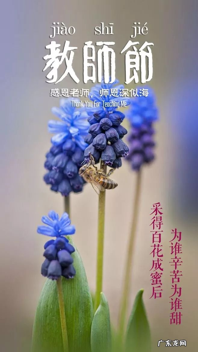 「诗词鉴赏」教师节,那些赞美老师的诗句 关于赞美老师的名言有哪些