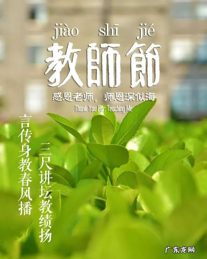 「诗词鉴赏」教师节,那些赞美老师的诗句 关于赞美老师的名言有哪些