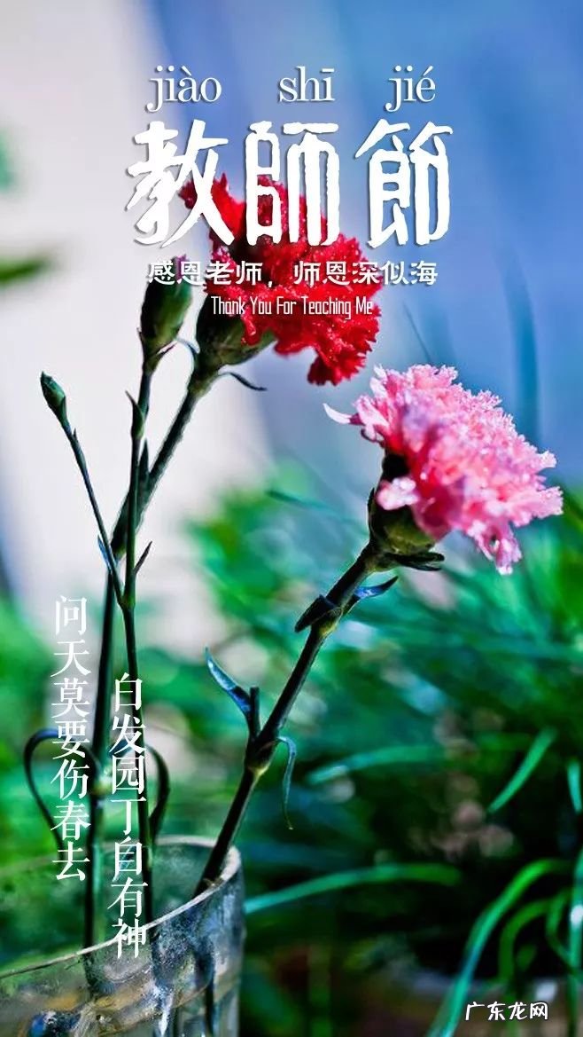 「诗词鉴赏」教师节,那些赞美老师的诗句 关于赞美老师的名言有哪些