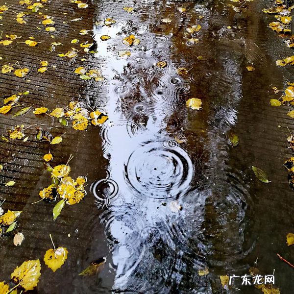 写出几个描写雨的词语 描写雨的词语