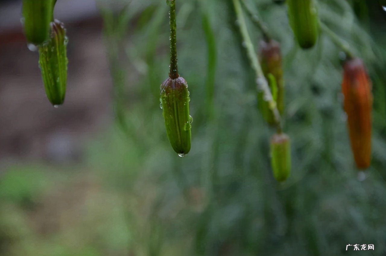 写出几个描写雨的词语 描写雨的词语