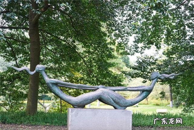 作为一个杭州人，如何评价杭州这座城市？