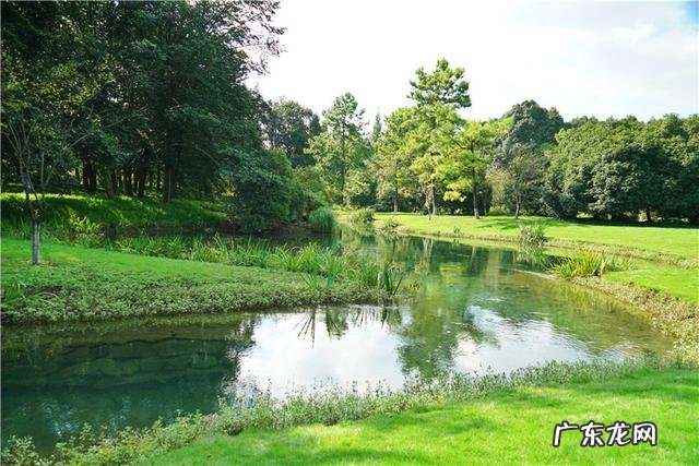 作为一个杭州人，如何评价杭州这座城市？