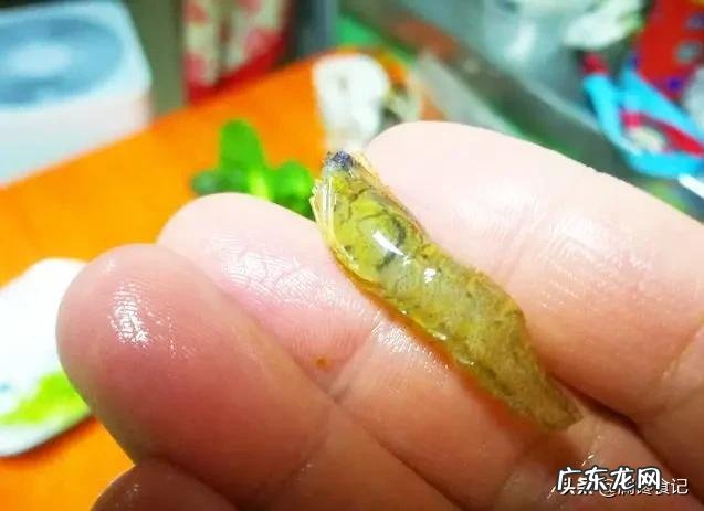 元旦节大家都吃什么美食?