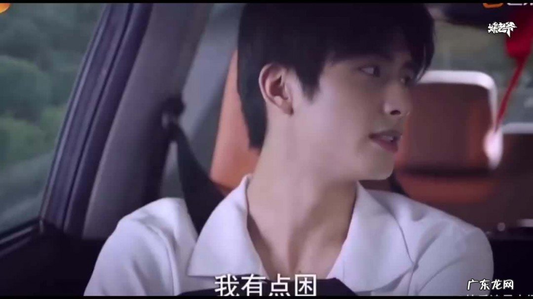 凌霄在新加坡经历了什么