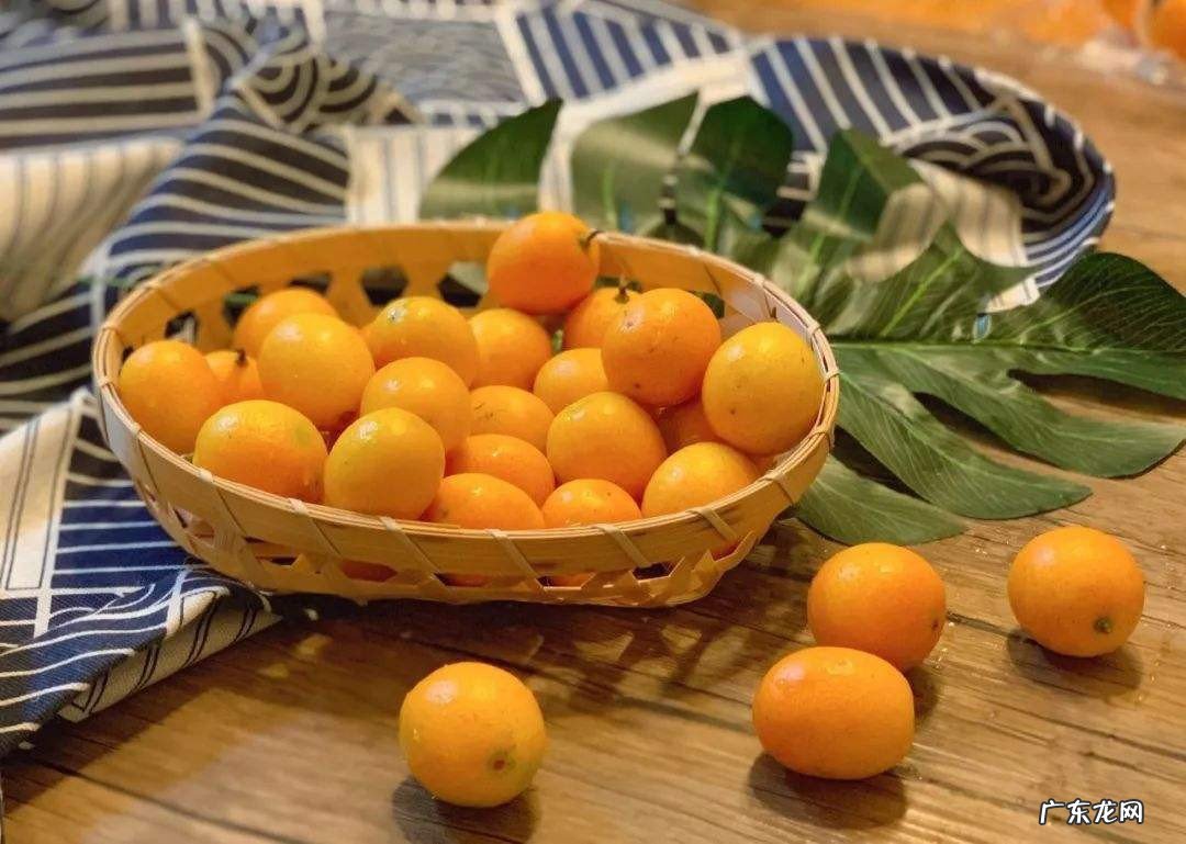 金桔的功效