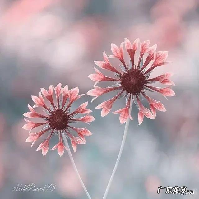 夫妻之间没有感情，还能继续下去吗？