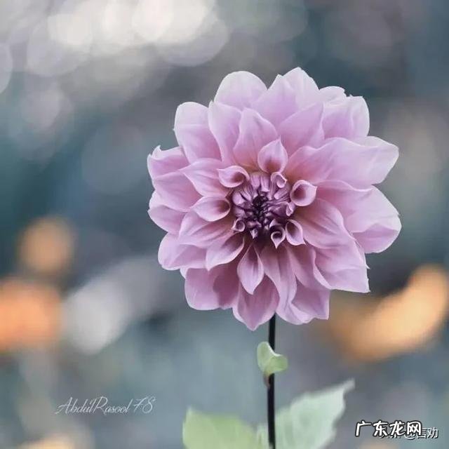 夫妻之间没有感情，还能继续下去吗？