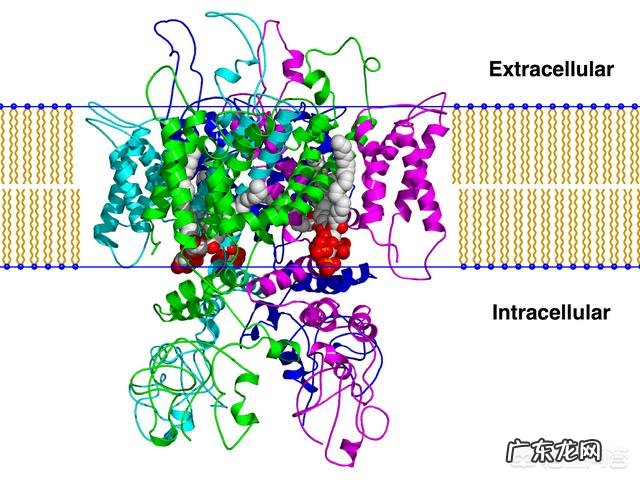 艾灸后为什么会起水泡？