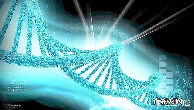 什么时候做无创DNA比较好?