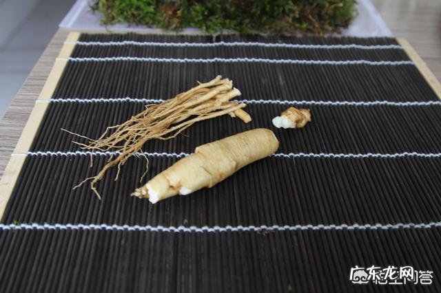 人参泡茶喝有什么好处?