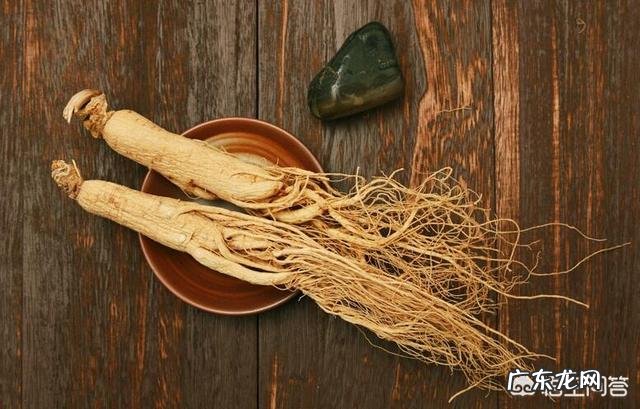 人参泡茶喝有什么好处?