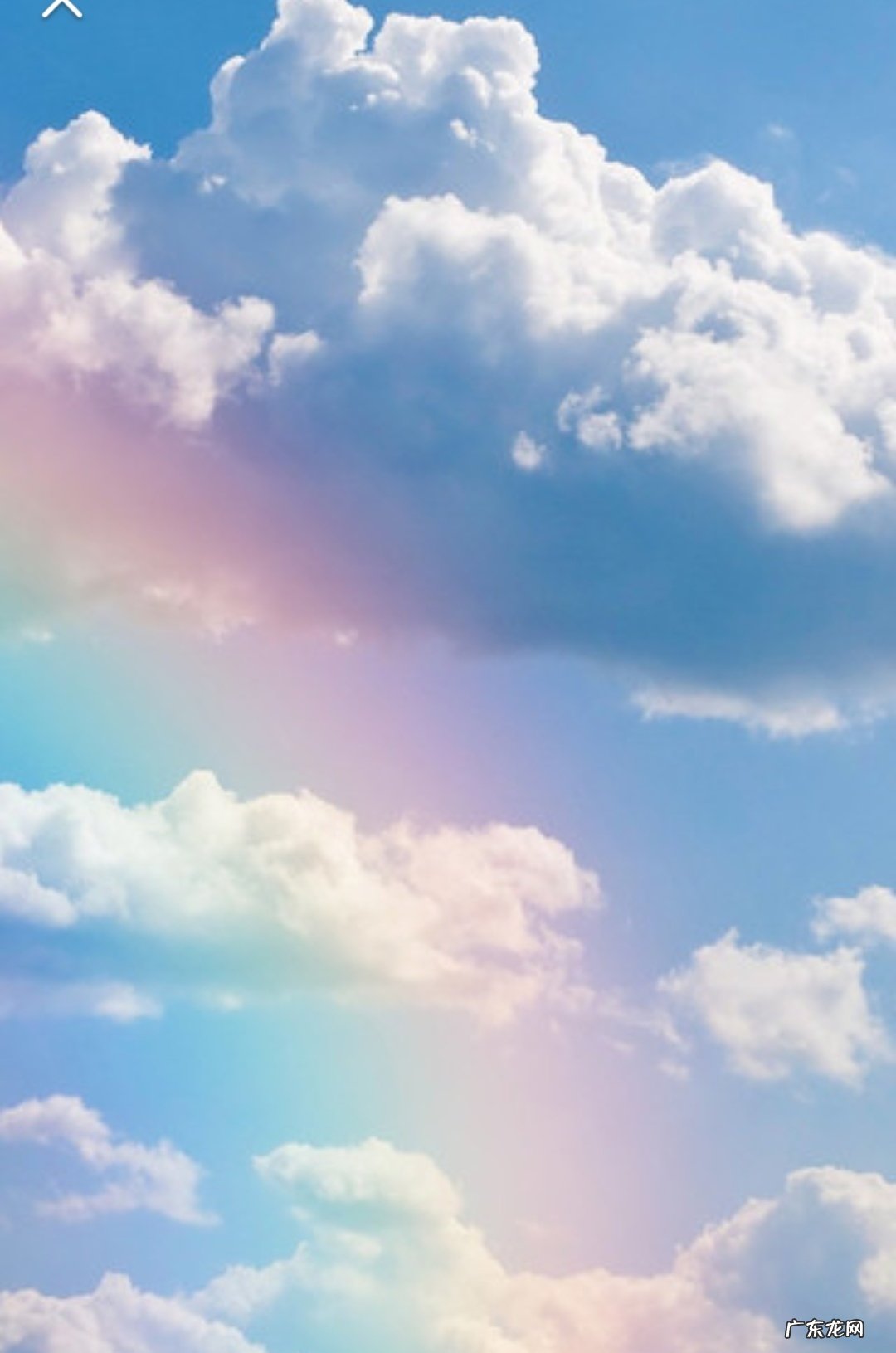 多姿多彩的生活 多姿多彩造句子