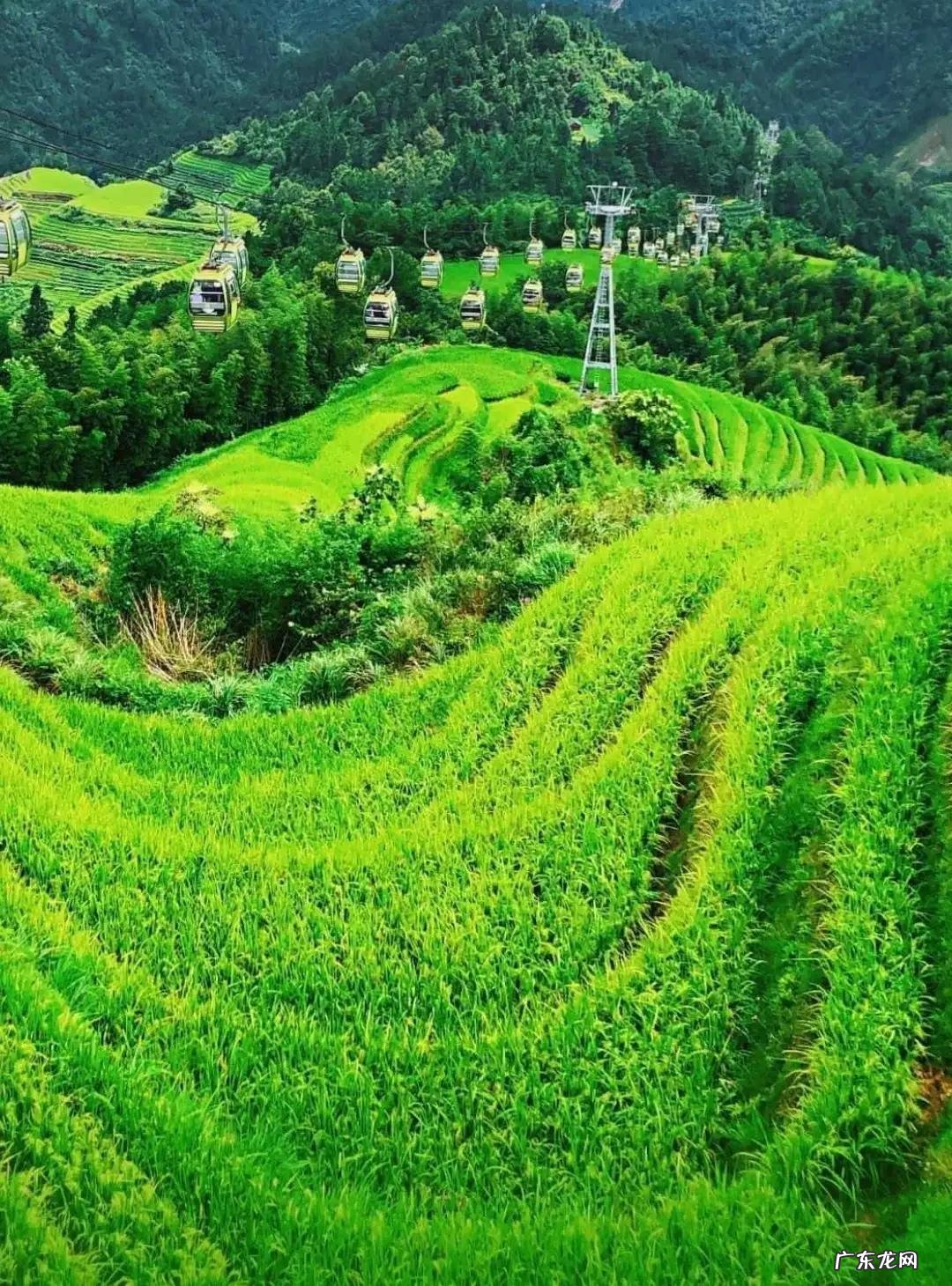 多姿多彩的生活 多姿多彩造句子