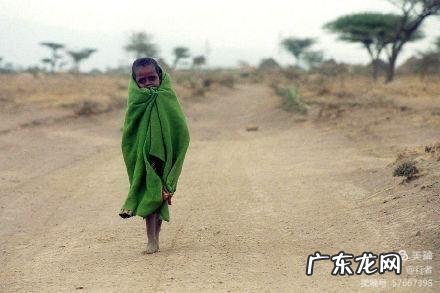 形容饥肠辘辘的句子 饥肠辘辘造句子