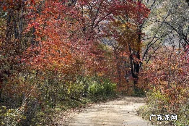 可见一斑造句简单一点 用可见一斑造句子