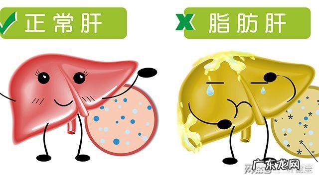 跑步真的能使人健康吗?