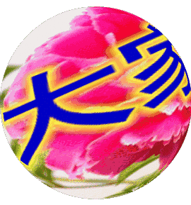 聊天表情图片大全 各种聊天图片大全