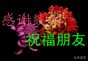 聊天表情图片大全 各种聊天图片大全