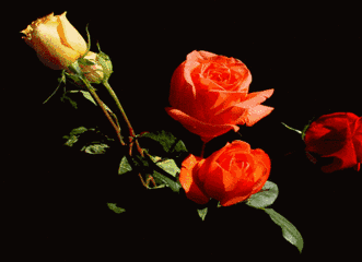 聊天表情图片大全 各种聊天图片大全