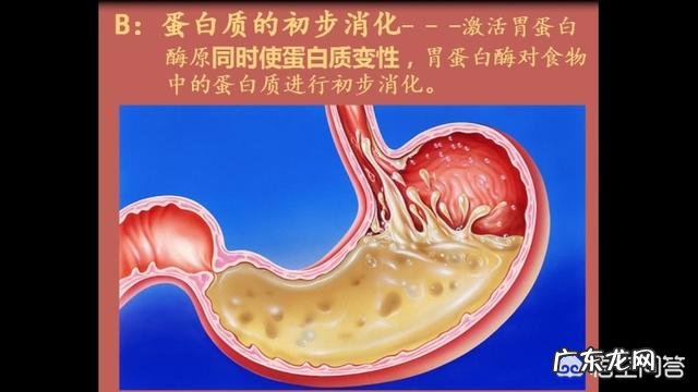 宝宝不吃奶粉,这是怎么回事?