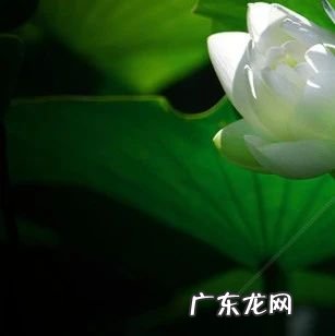 弱效皮质类固醇激素软膏有哪些 皮质类固醇激素软膏的作用