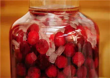 杨梅酒的制作方法及功效