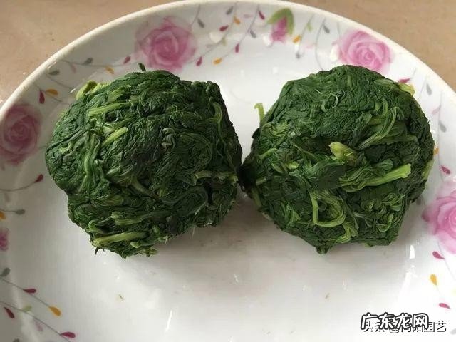 阳台种盆艾草能“驱蚊辟邪” 艾草种家里阳台好不好风水