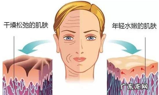 一到冬天,皮肤干燥得不能出门,应该怎么办?