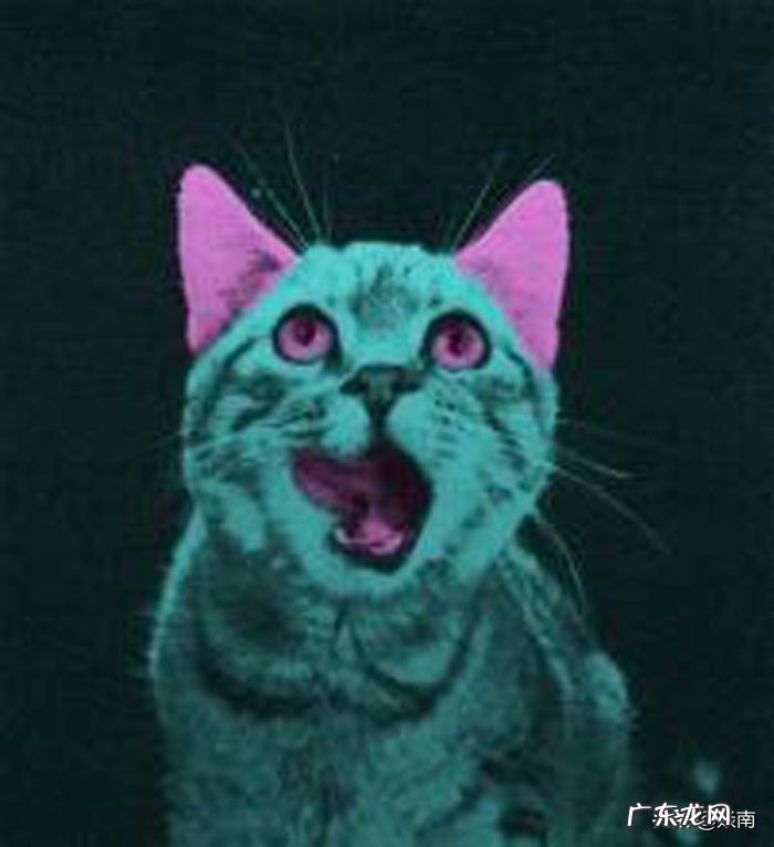 闹鬼的房屋的特征 看风水说屋顶有两小鬼