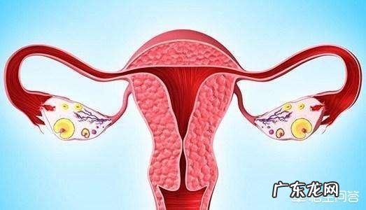 吃了紧急避孕药,结果提前来了月经,这是怎么回事?