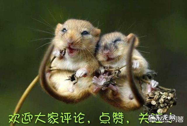 豆瓣评分仅6.6创下系列新低,《黑镜》第五季真的崩了吗?