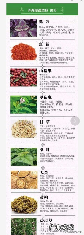 养森瘦瘦包靠谱吗 养森瘦瘦包使用方法