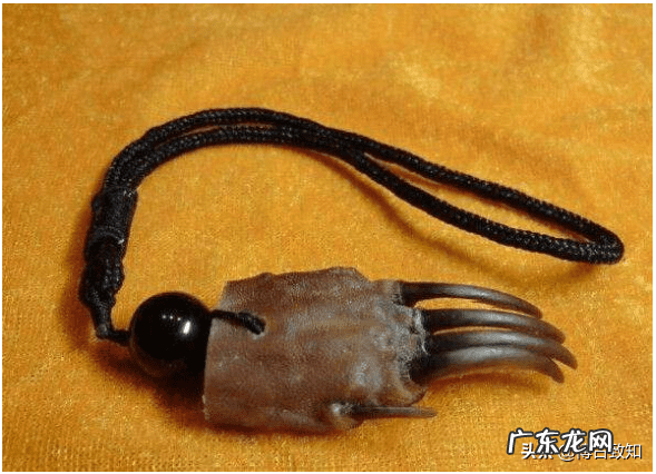 中国风水门派 风水门派有哪几派组成