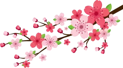 农村院子风水图解 农村小院风水大全